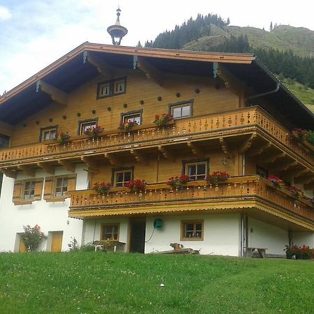 Biobergbauernhof Brandenau Apartment Taxenbach Ngoại thất bức ảnh
