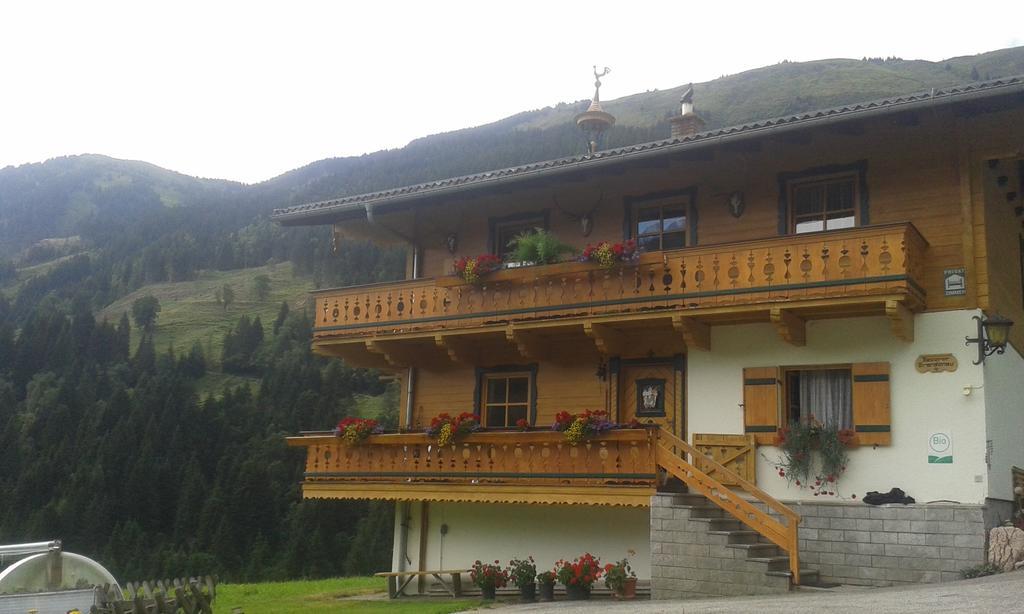 Biobergbauernhof Brandenau Apartment Taxenbach Phòng bức ảnh